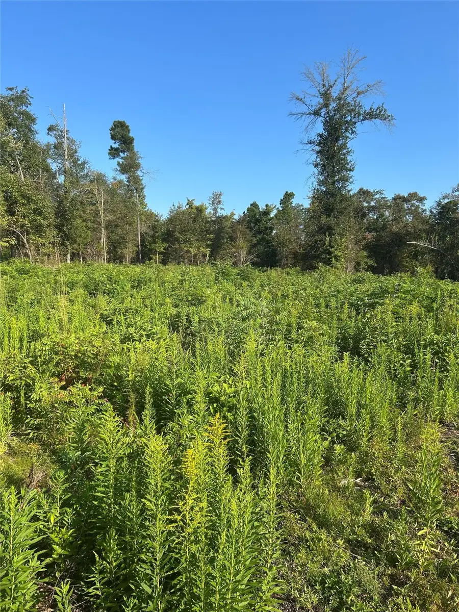 3730 Deer Road, Gilmer, TX 75644 - Image #2