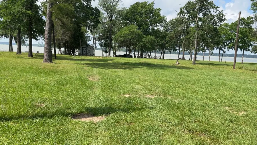 207 Creek Road, Trinity, TX 75862 - #2