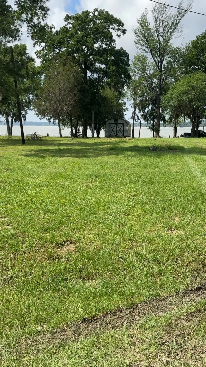 207 Creek Road, Trinity, TX 75862 - #3