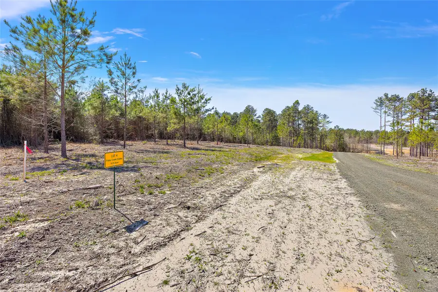141 Piney Creek Estates Road, Timpson, TX 75975 - Image #3