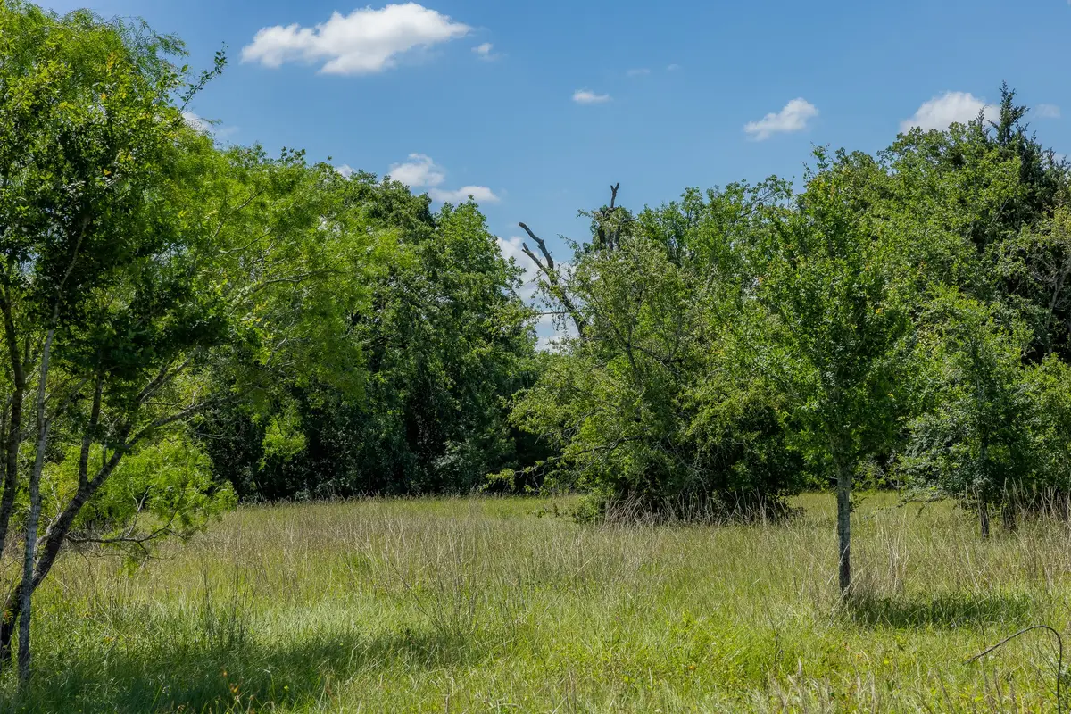 6558 Atakapan Trail, Bedias, TX 77831 - Image #1
