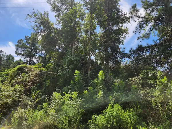 Lot 26 Mayhaw Lane, Plantersville, TX 77363