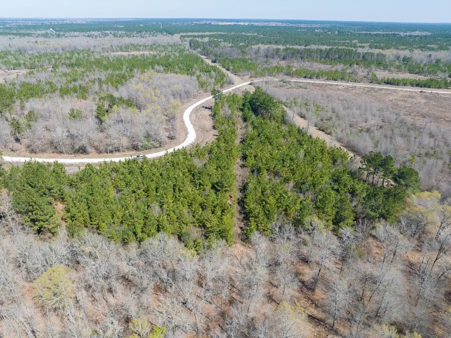 1 Bo Brown Road, Trinity, TX 75862 - #3