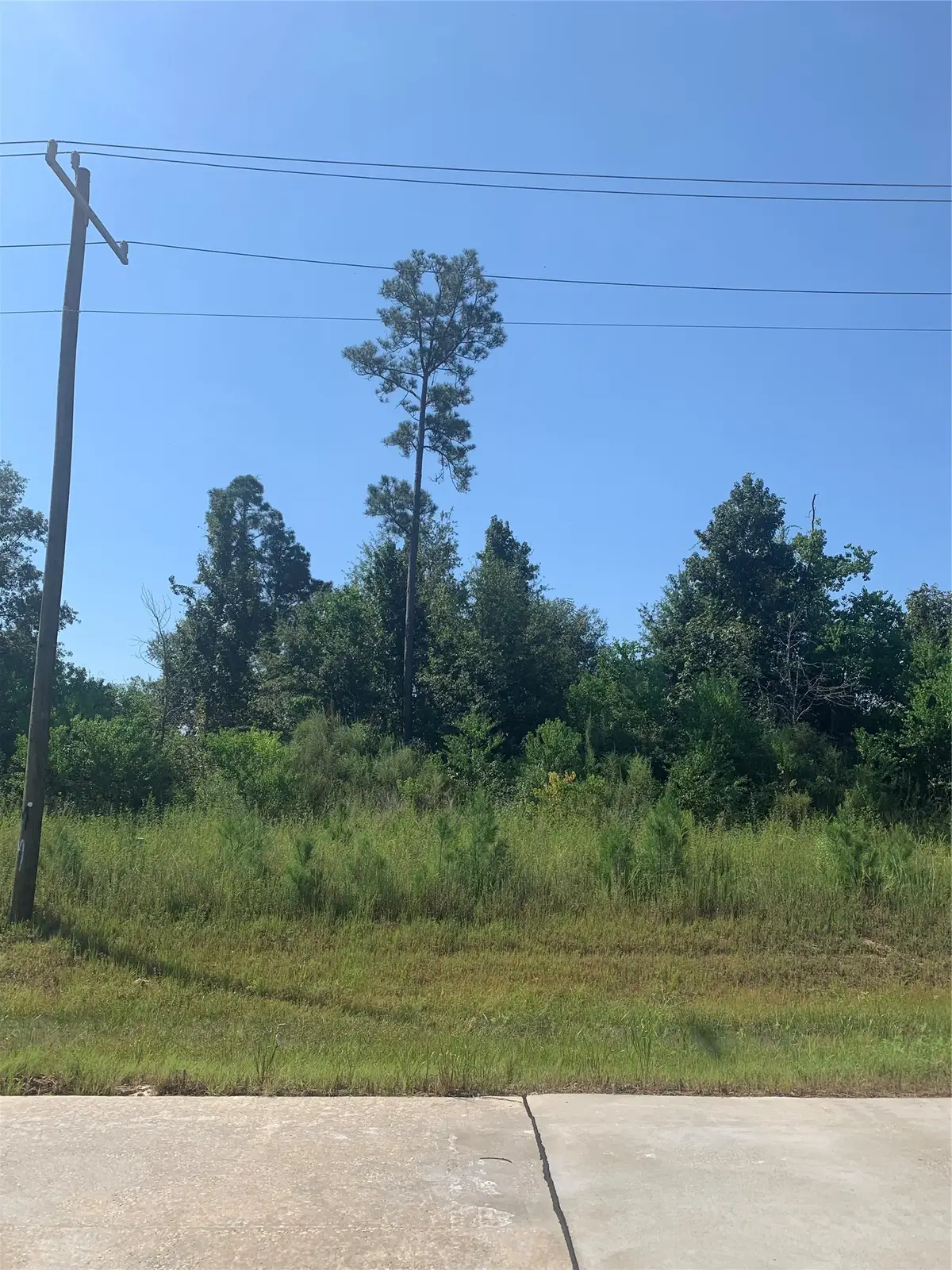 8205 Road 5878, Cleveland, TX 77327 - #1