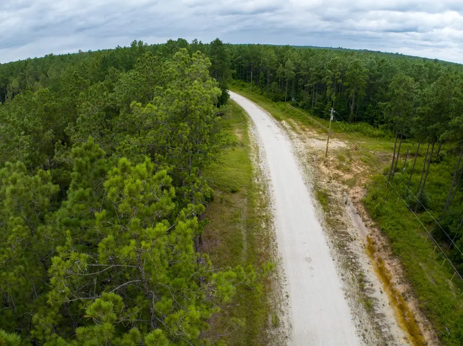 TBD Carter Ranch Road, Kountze, TX 77625 - #3