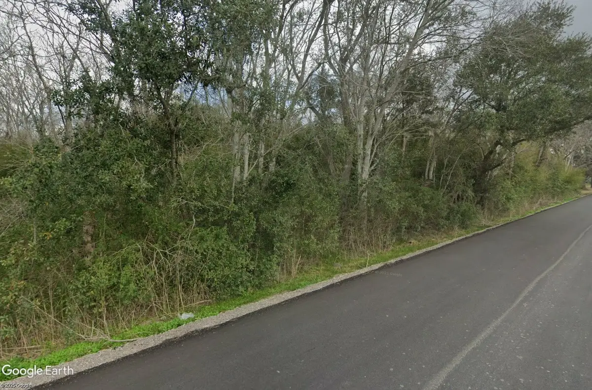 TBD Dogwood Ave, Manvel, TX 77578 - Image #1