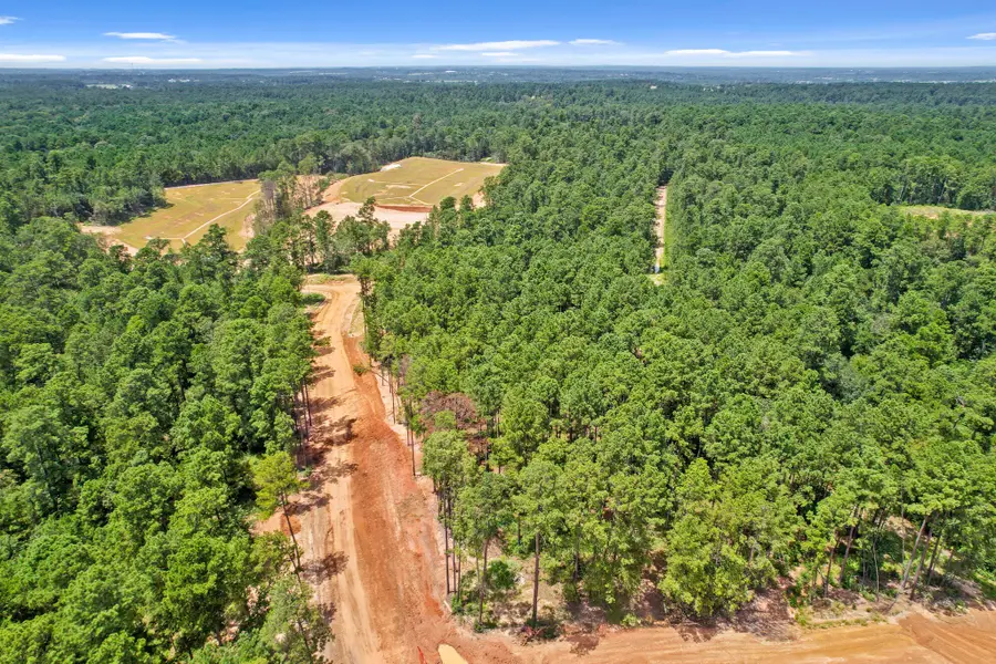 4029 Augusta Drive, Montgomery, TX 77316 - #2