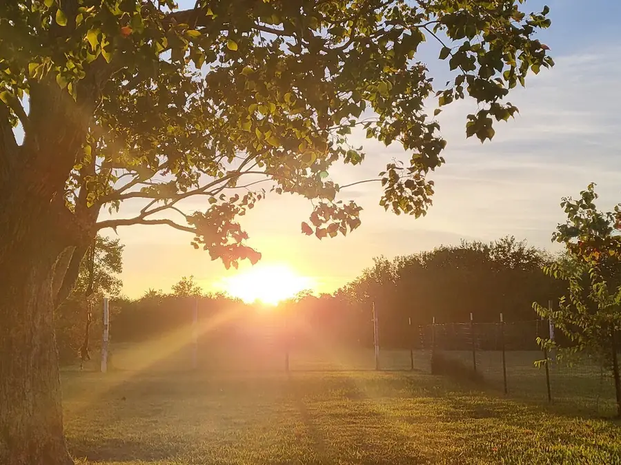 333 24th Street, San Leon, TX 77539 - Image #2