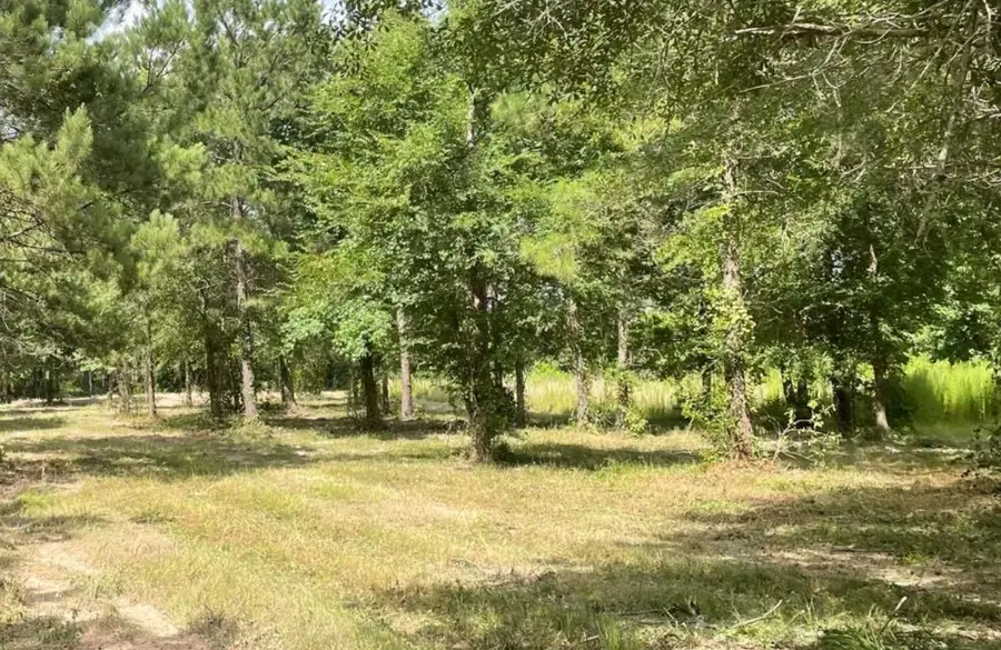 502 County Road 3408, Cleveland, TX 77327 - #3