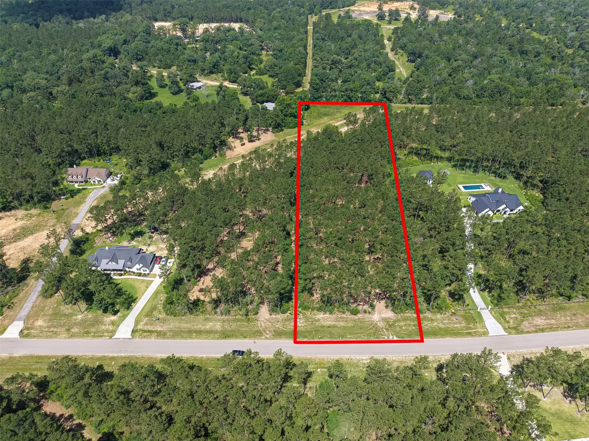 15631 Forest Grove Drive, Willis, TX 77378 - #1