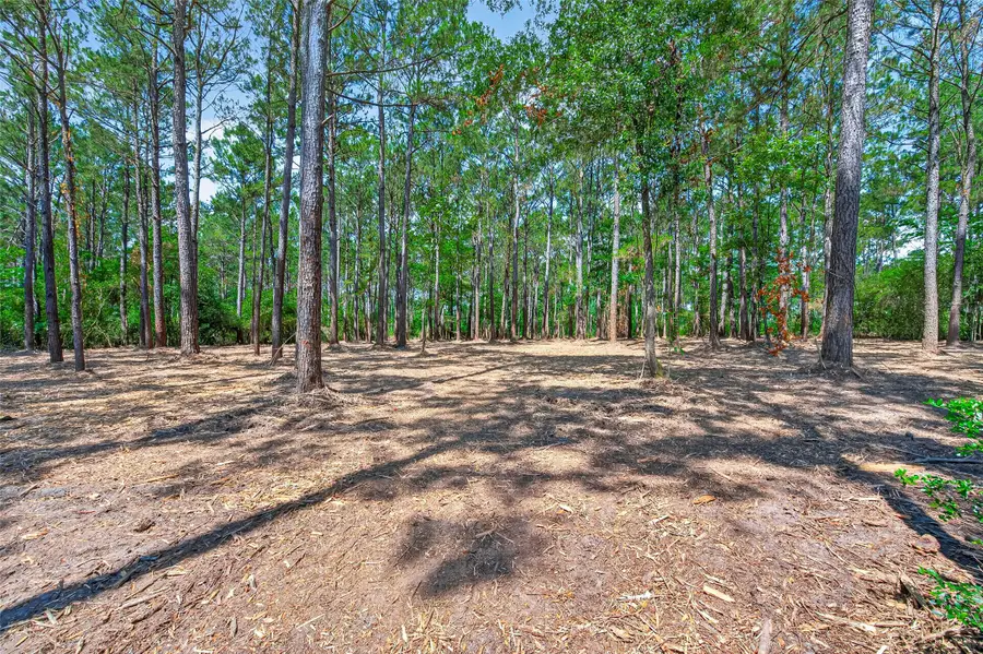 15631 Forest Grove Drive, Willis, TX 77378 - #3