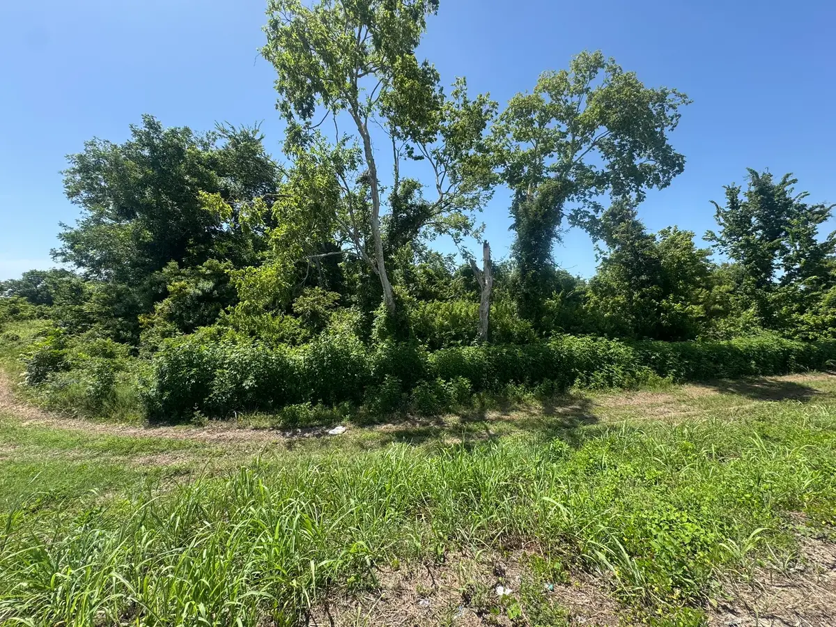 TBD E Us Highway 59 Feeder, Hungerford, TX 77448 - #1
