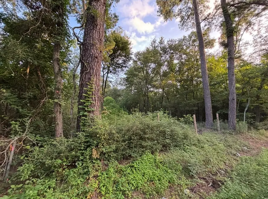 0 Guinn Avenue, Houston, TX 77044 - Image #3