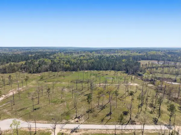 Lot 13 N Fm 350, Livingston, TX 77351