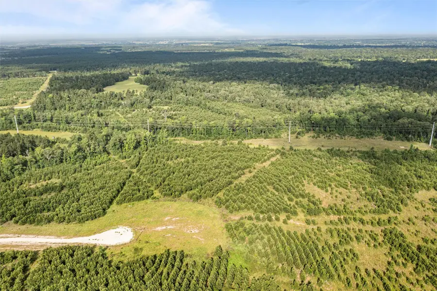 0 Caldwell, Lovelady, TX 75851 - Image #3