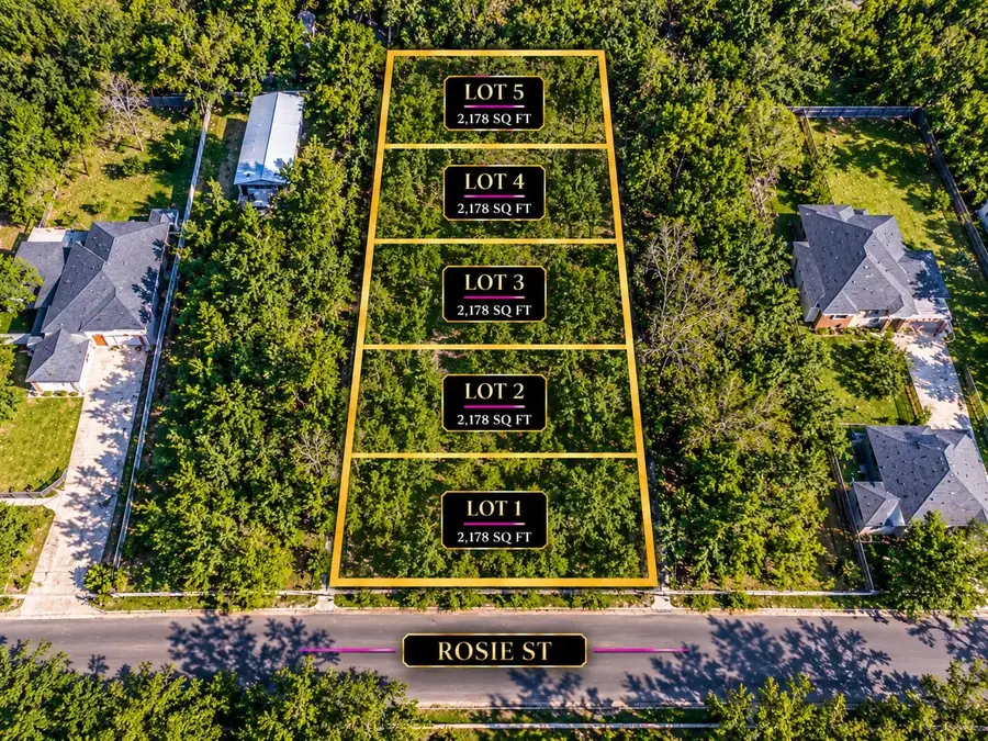 821 Rosie Street, Houston, TX 77091 - #2