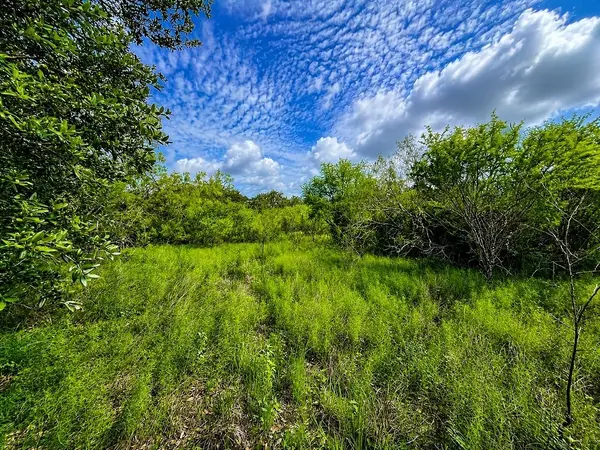 TBD Water Oak Road, Columbus, TX 78934