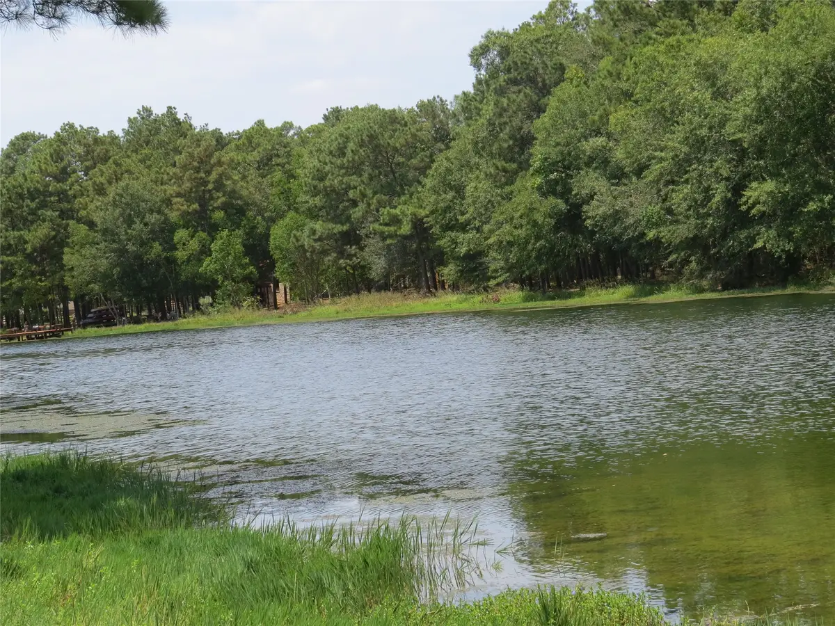 2176 Bambi Court, Cleveland, TX 77328 - #1