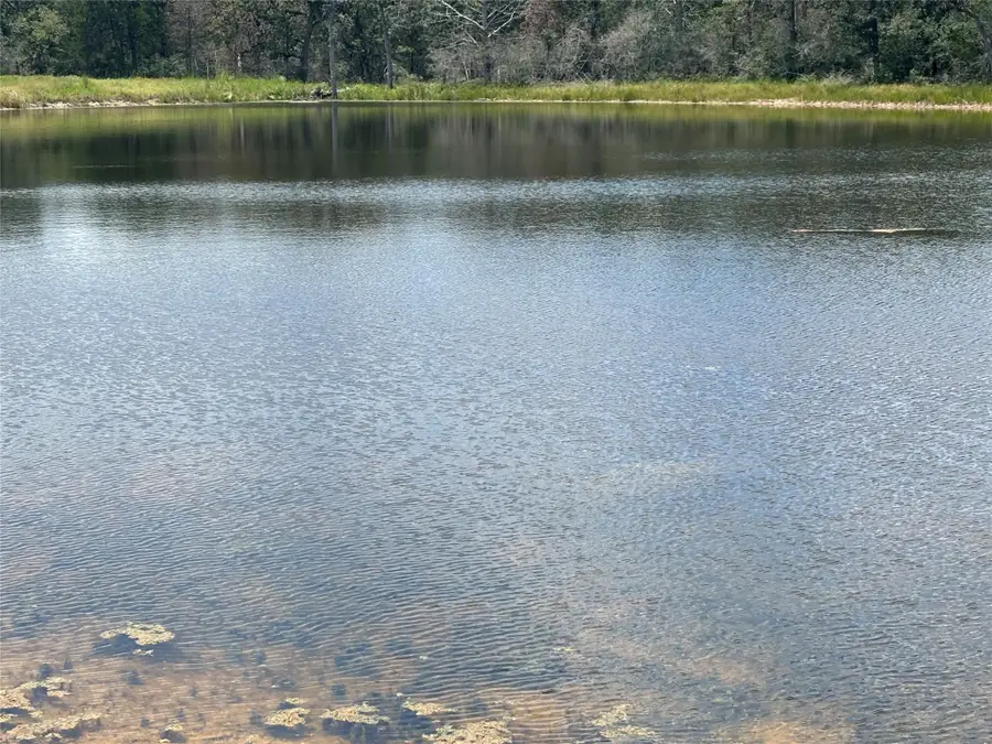 2250 Old Lockhart Road, Plum, TX 78952 - Image #3