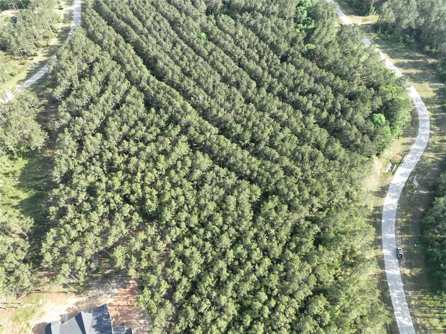 15750 Wooded Trail Way, Willis, TX 77378 - #3