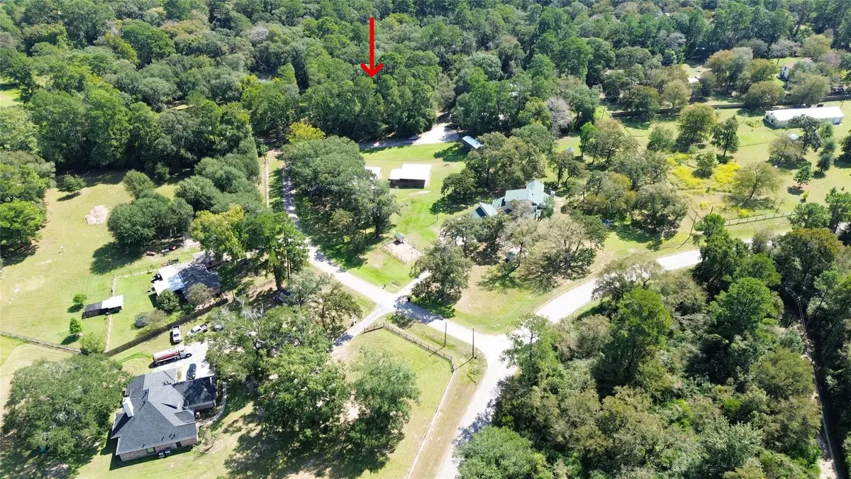 TBD Clear Creek Circle, Hockley, TX 77447 - Image #1