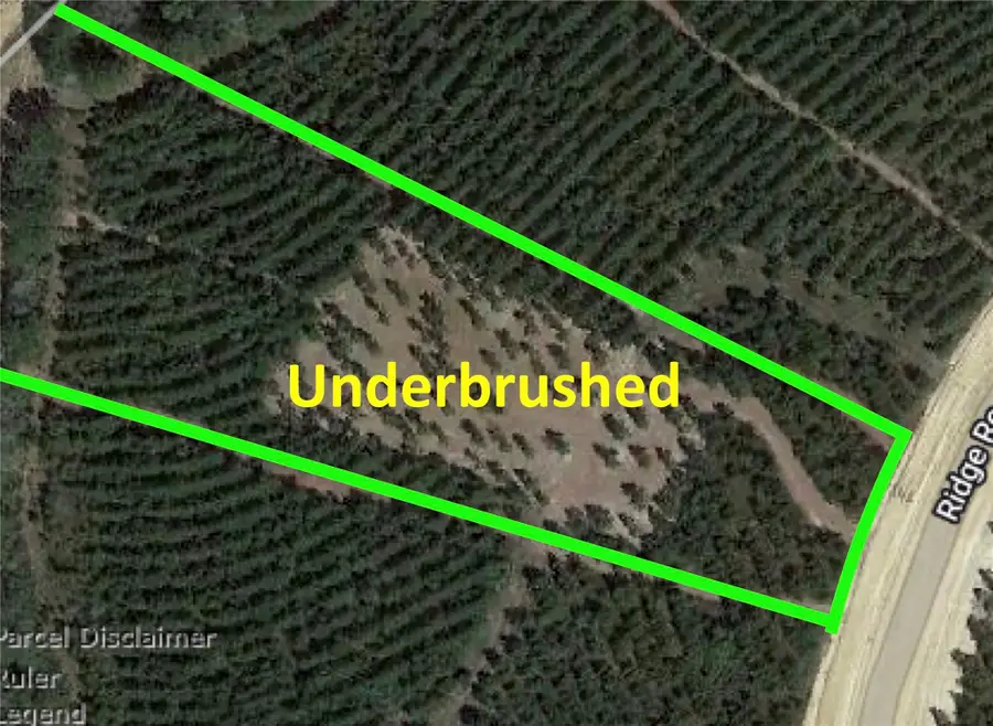 15699 Ridge Rock Road, Willis, TX 77378 - Image #2