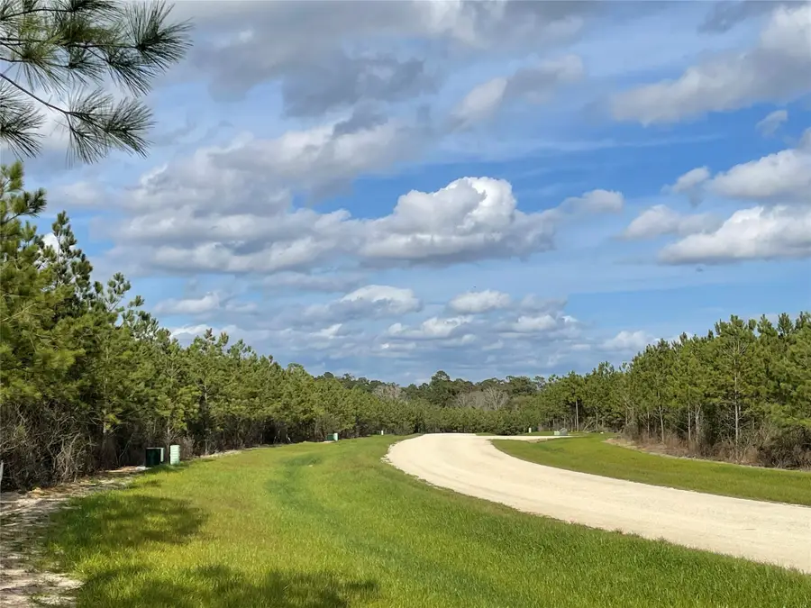 15699 Ridge Rock Road, Willis, TX 77378 - Image #3