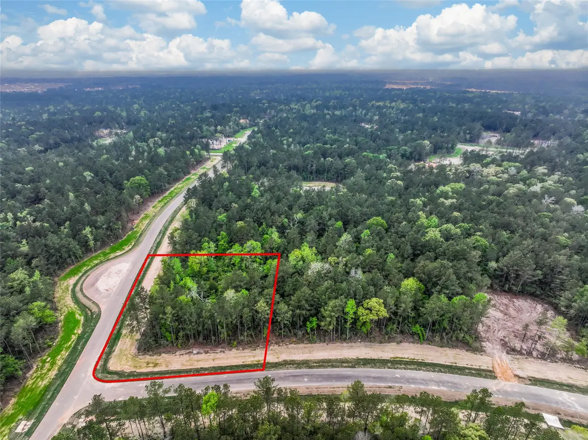 4848 Red Coyote Lane, Montgomery, TX 77316 - #1