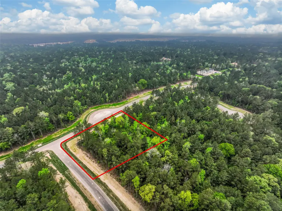 4848 Red Coyote Lane, Montgomery, TX 77316 - #2