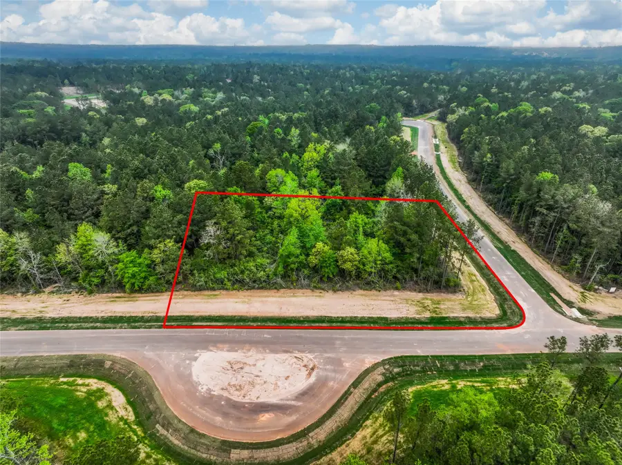 4848 Red Coyote Lane, Montgomery, TX 77316 - #3