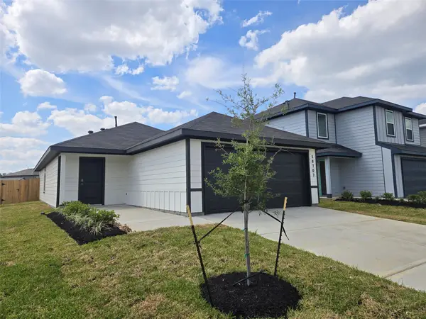 18707 Sunset Horizon Drive, Hockley, TX 77447