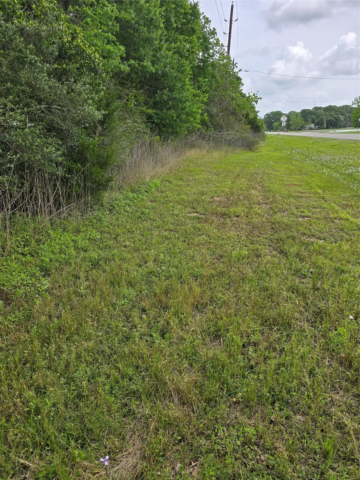 13175 Fm-1458, San Felipe, TX 77474 - #1