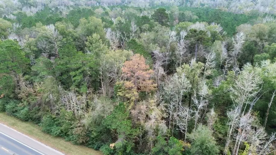 11948 Highway 190 E, Bon Wier, TX 75928 - #2