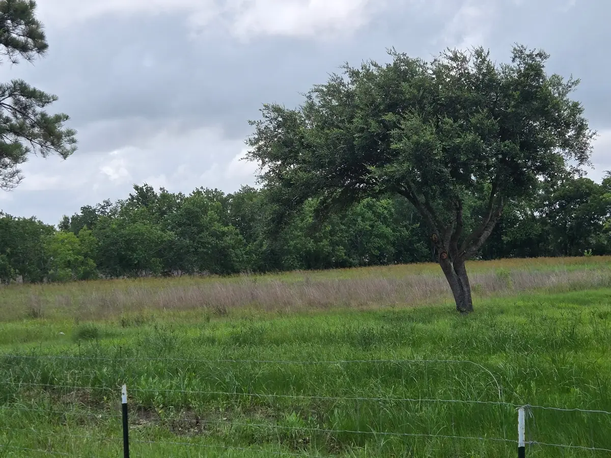 8235 County Road 128, Alvin Pearland, TX 77511 - #1