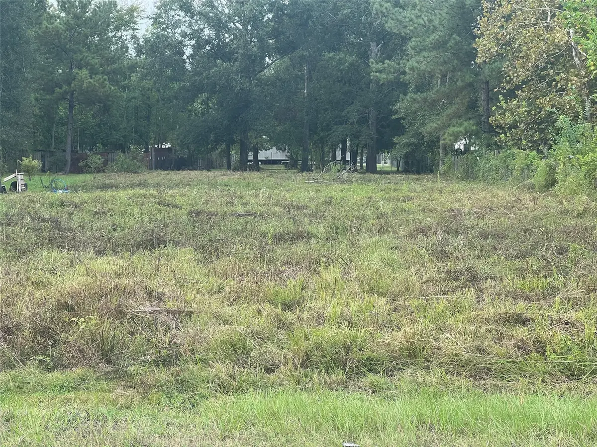 747 County Road 3405, Cleveland, TX 77327 - Image #1