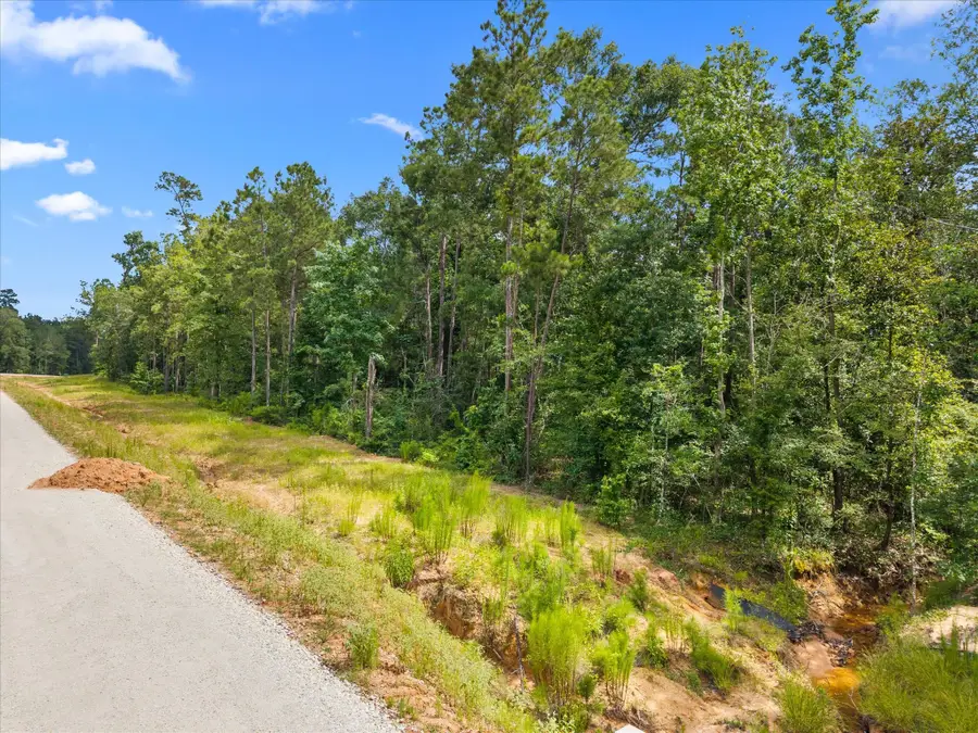 11546 Bramble Court, Willis, TX 77378 - #3