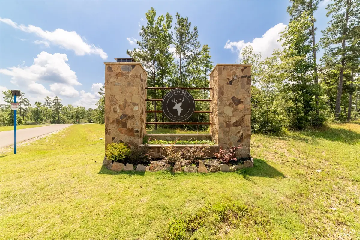 157 Iron Horse Road, New Waverly, TX 77358 - Image #1