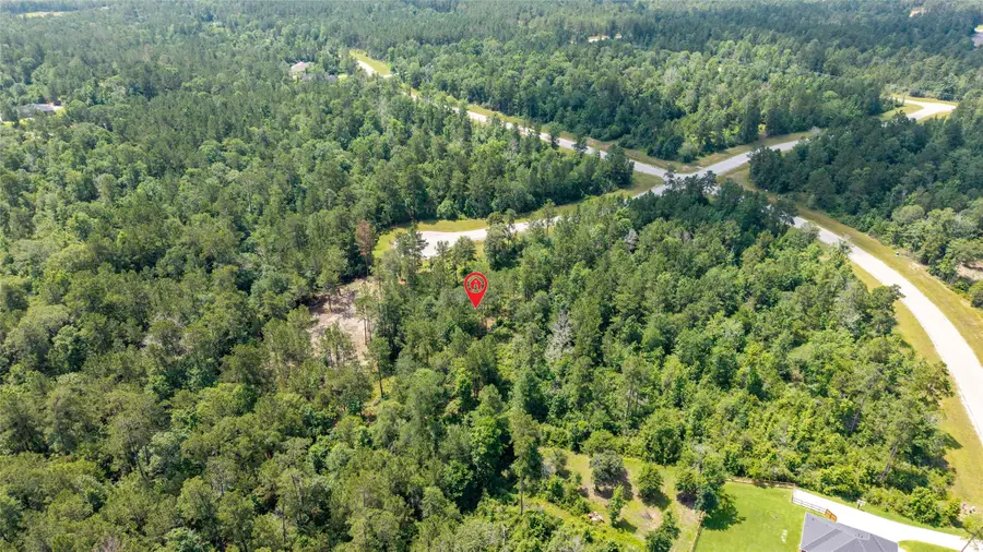 157 Iron Horse Road, New Waverly, TX 77358 - Image #3