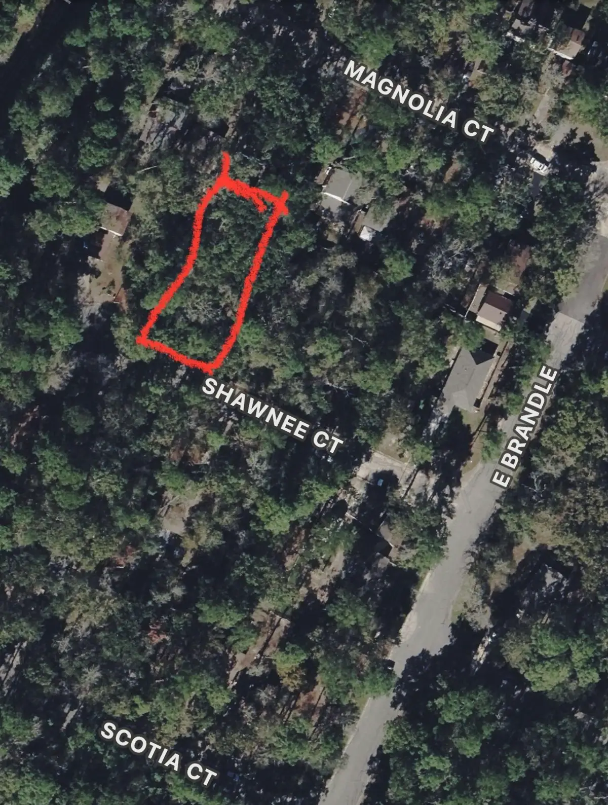 28624 Shawnee Ct, Pointblank, TX 77364 - #1