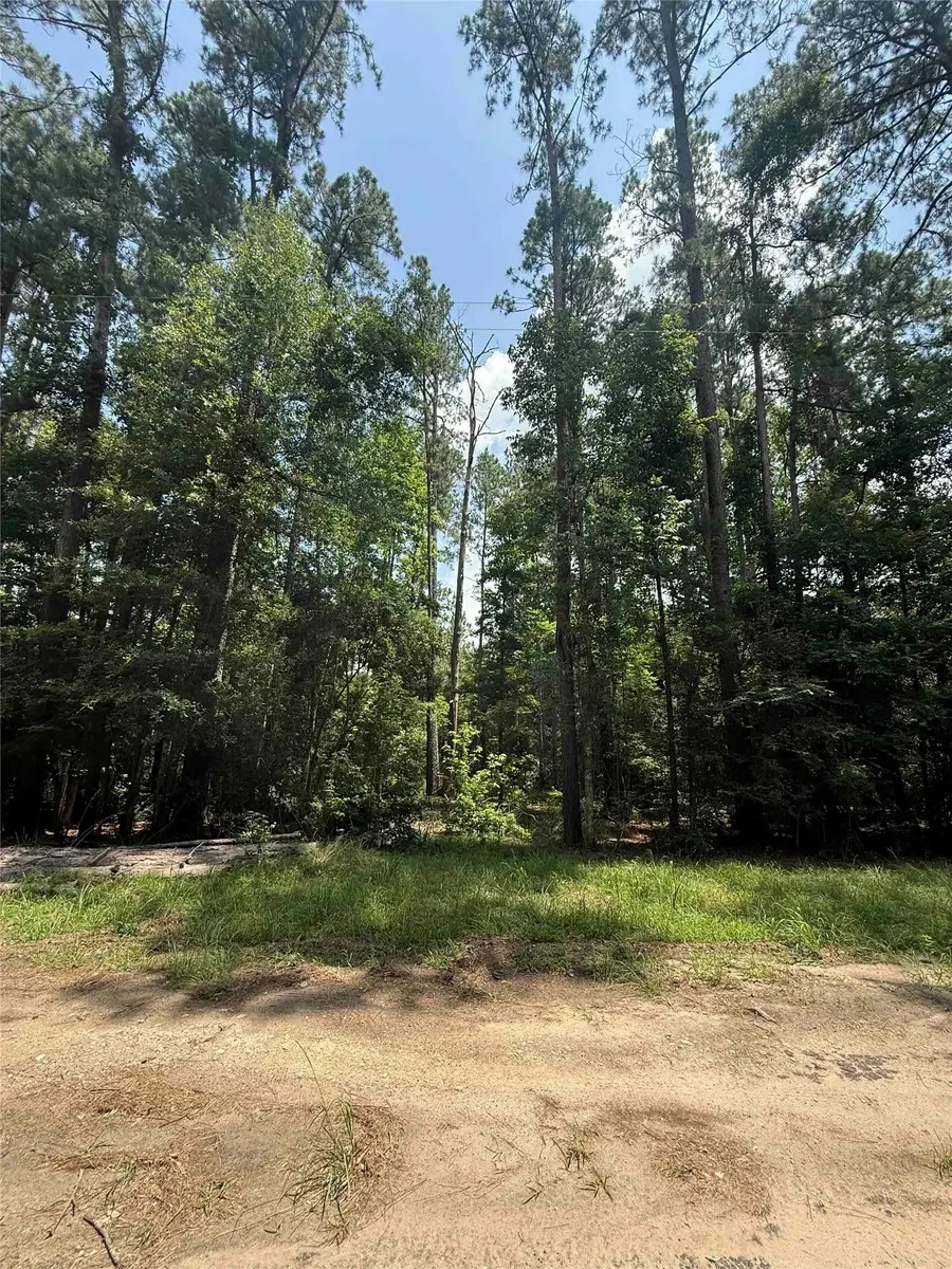 28624 Shawnee Ct, Pointblank, TX 77364 - #2