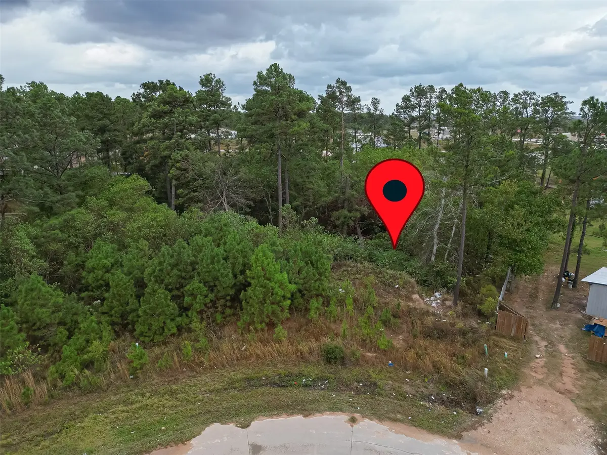 346 Road 5126, Cleveland, TX 77327 - #1