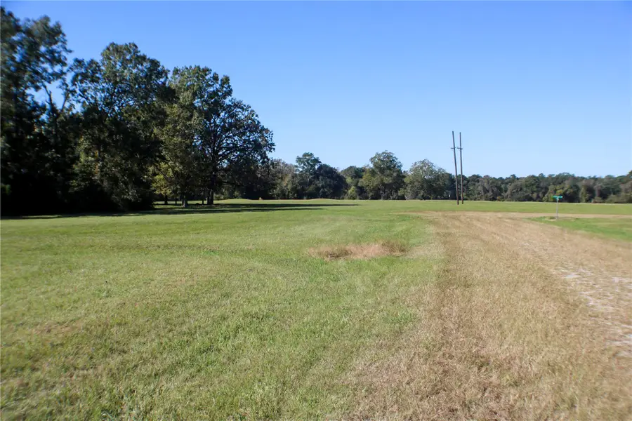 Lot 9 New Orleans, Trinity, TX 75862 - #2