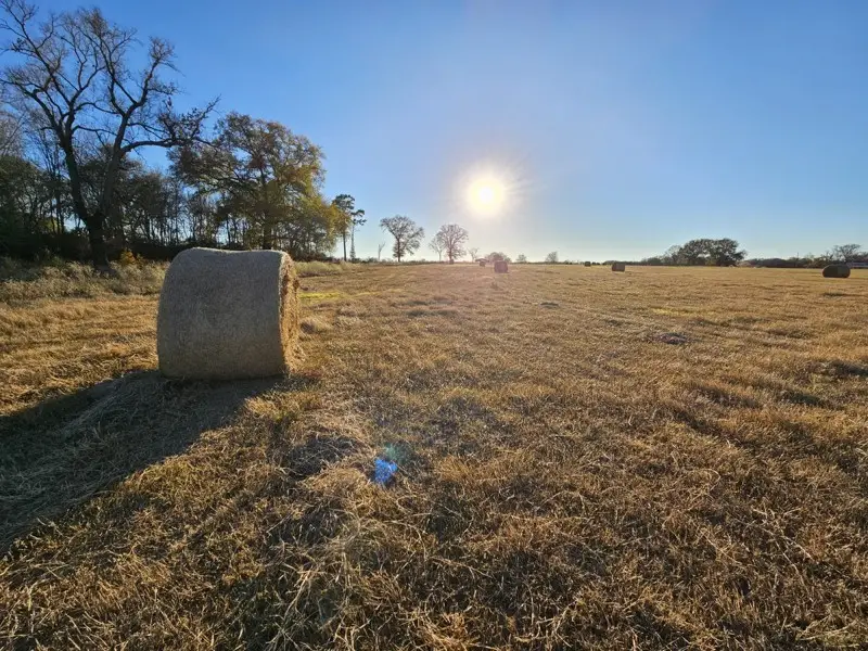 TBD County Road 231, Centerville, TX 75833 - Image #2