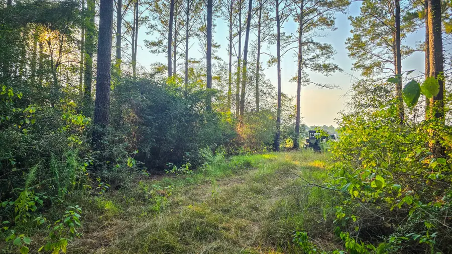 TBD Carmona Road, Corrigan, TX 75939 - Image #2