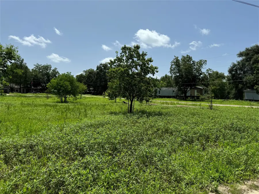000 White Oak Drive, Trinity, TX 75862 - Image #3