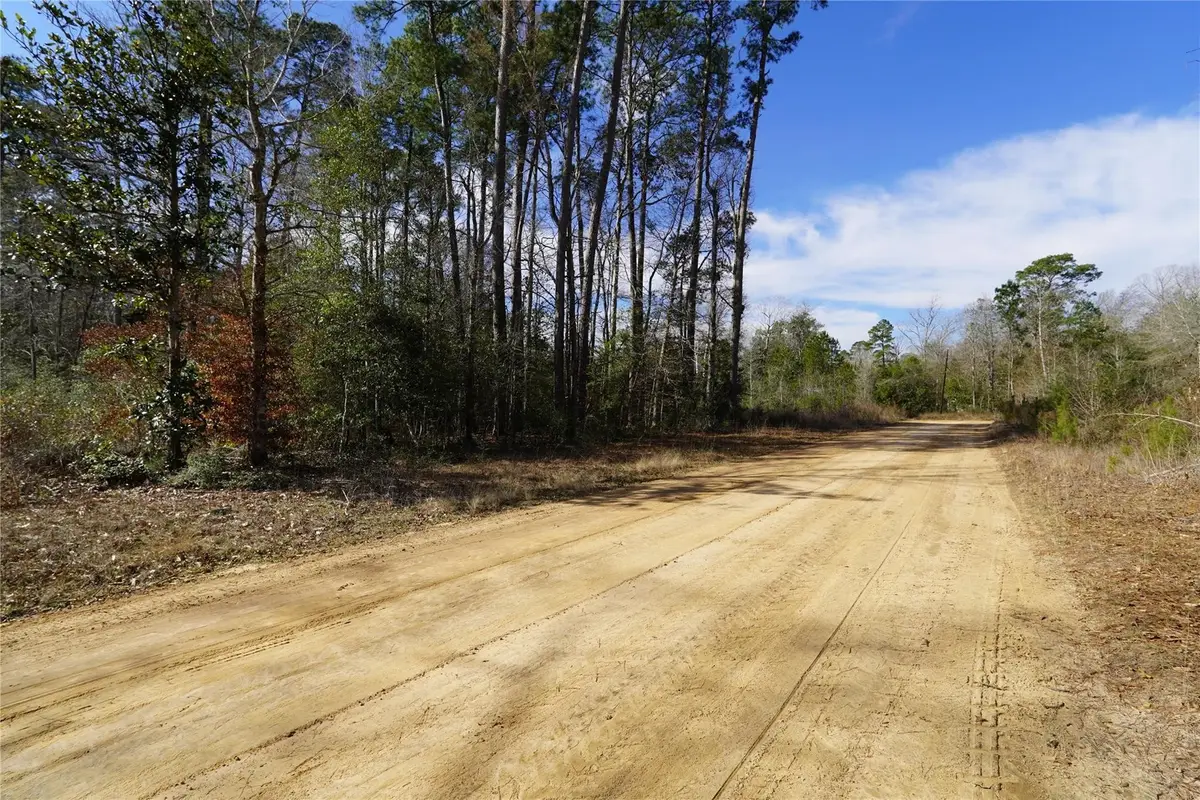 TBD Mustang Ridge, Livingston, TX 77351 - #1