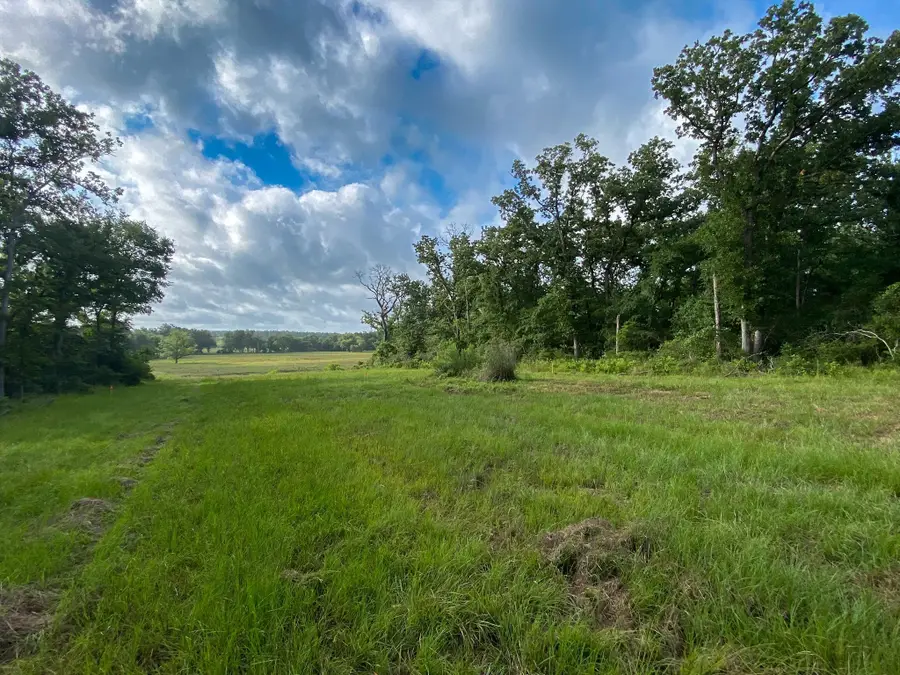 4554 County Rd 426, Marquez, TX 77865 - Image #3