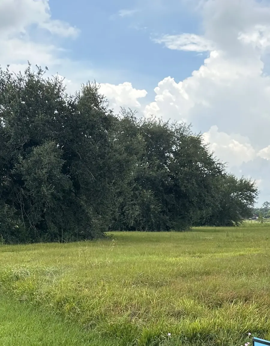 0 Bar E Bar S, Texas City League City, TX 77511 - Image #2