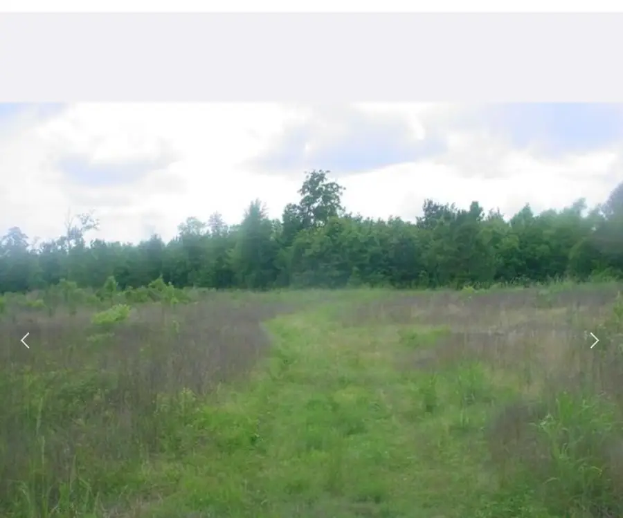 330 River Oaks Drive, Shepherd, TX 77371 - #3