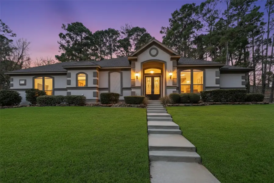 228 Blue Hill Drive, Montgomery, TX 77356 - #2